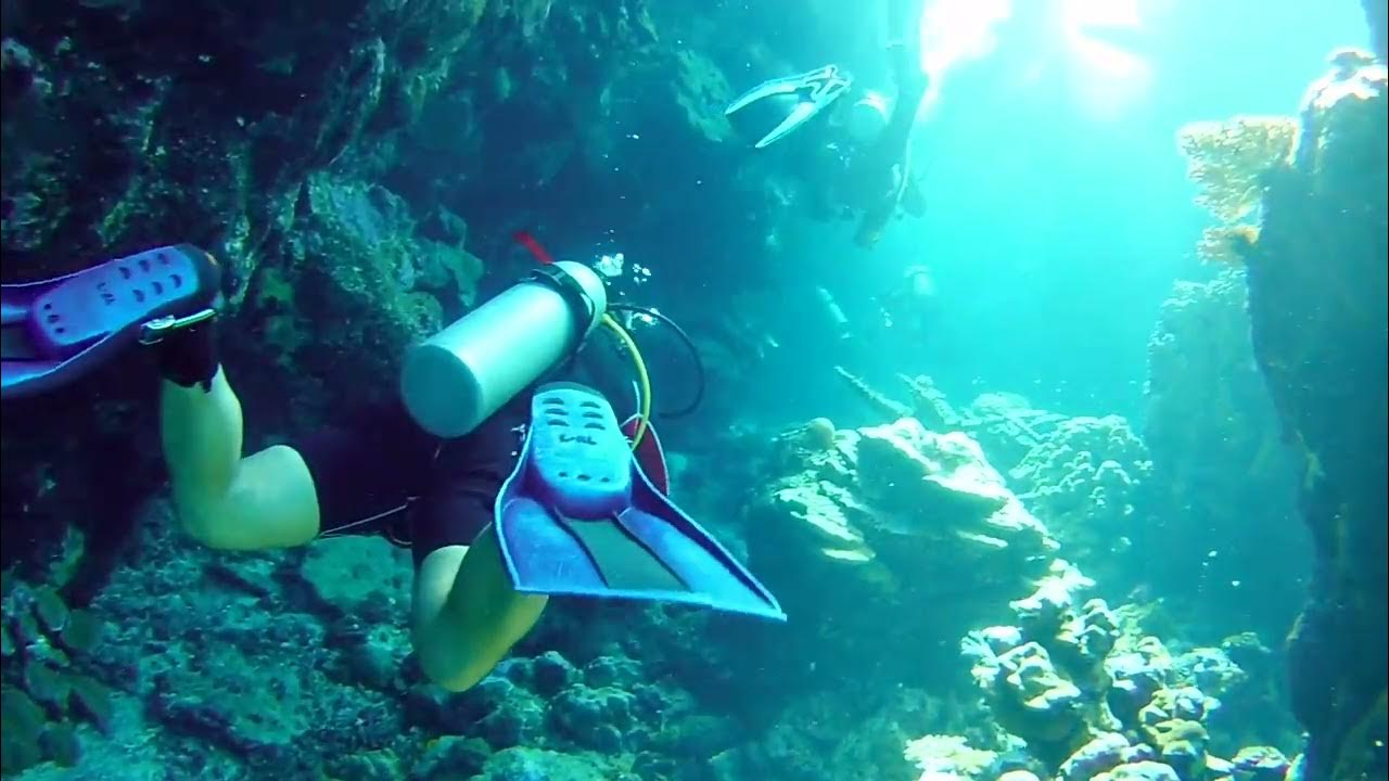 19. 09. 2021. Scuba Diving at Shaab Abu Dabbab 5. Egypt - YouTube
