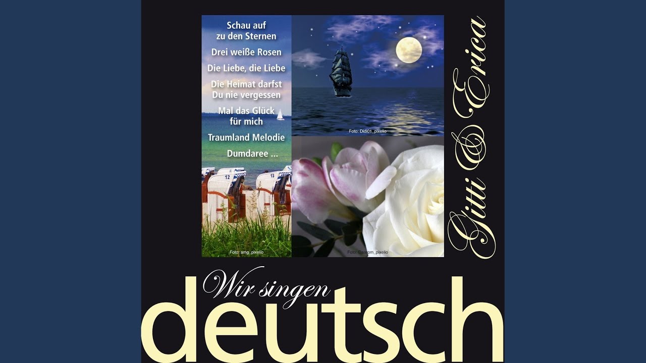 Dumdaree auf YouTube ansehen Dumdaree auf YouTube ansehen