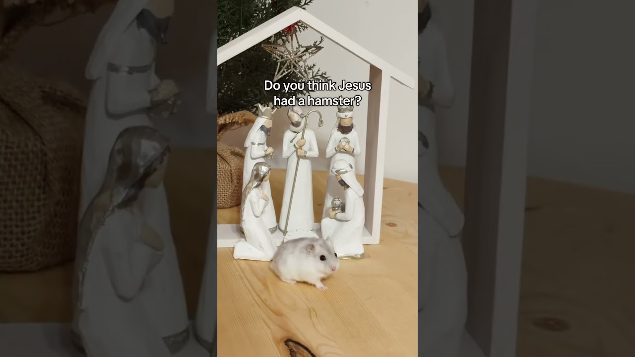 Если бы у Иисуса был хомяк, как бы вы подумали, как бы его звали? 🐹✝️