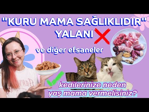 Çiğ Beslenme: Neden Kuru Mamayı Bıraktım? 🐱🐶🍖