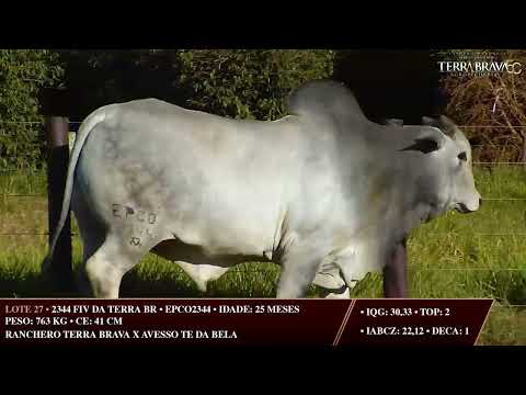 LOTE 27   EPCO 2344