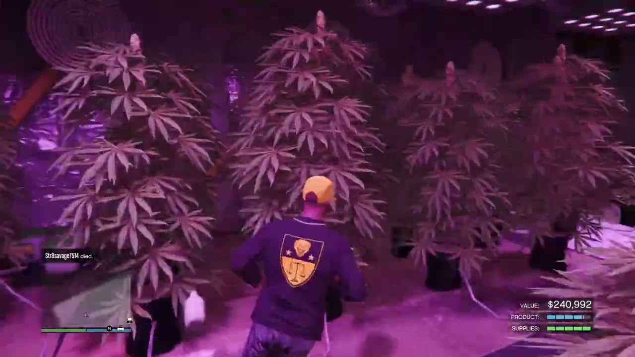 Weed Farm Delivery (solo in real time) - Grand theft Auto 5 Online  - 1-12-2026