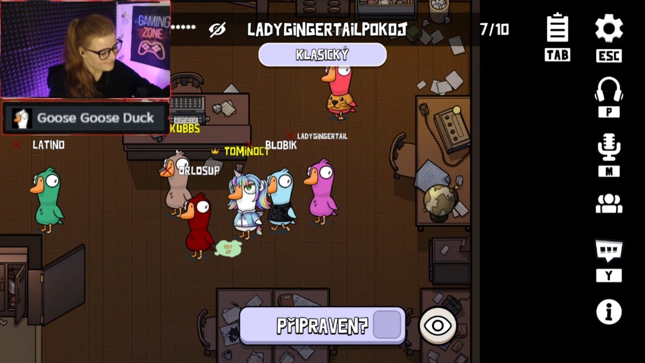 Hraju s chatem GOOSE GOOSE DUCK🪿#goosegooseduck #gamerka #ceskastreamerka #zrzka na #twitchczsk