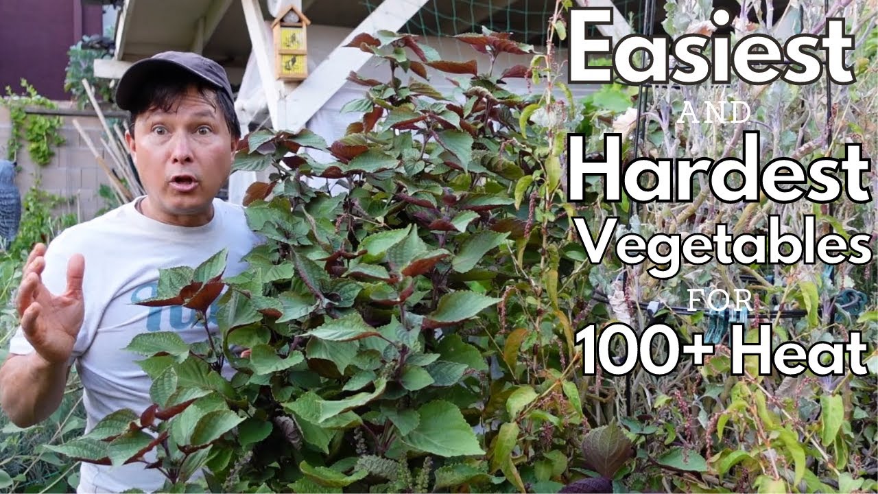 Easiest & Hardest Vegetables to Grow in 100+ Summer Garden Heat YouTube