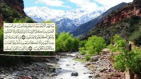 صفحة-181 page سعد الغامدي - -سورة الأنفال -08-Le butin (Al-Anfal)