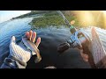 Fishing a HUDDLESTON for bedding bass