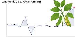 Animated Chart: Who Funds US Soybean Farming? | Watch Subsidies Move Over Time