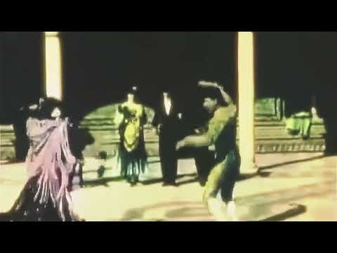 Las Pelotas - Todo lo que vivimos (Visualizer)