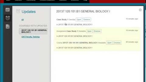 Global Navigation in Blackboard 9 1 Service Pack 11 -
