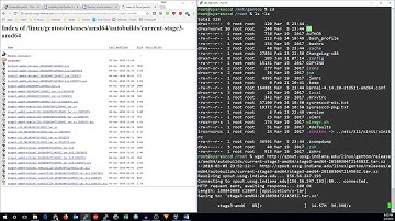 Installing Gentoo Part 2 (chroot)