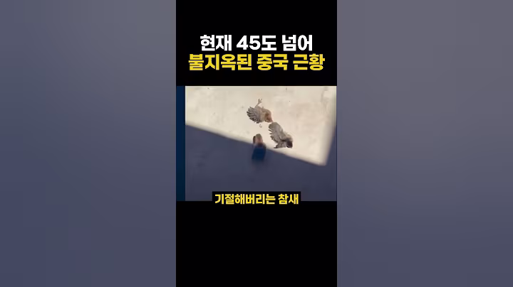 현재 45도 넘어 불지옥된 중국 근황