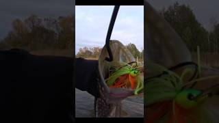 Чаттербейт Lucky John CHATTERBAIT PERCH