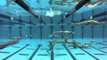 The Harlem Shake (UIW Swim Team Style)