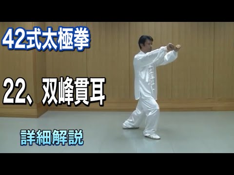 武林名門 沙家 武術大全 下巻 内家拳編 Amazon.co.jp: DVD 『武林名門 沙家 武術大全 下巻 内家拳編』福