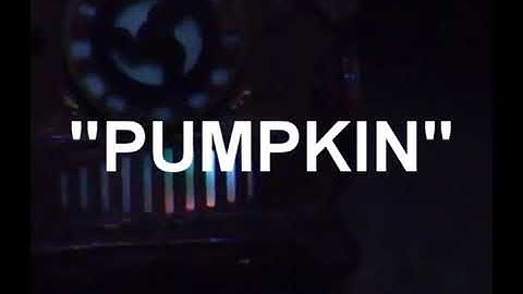 Paranologies Poltercom repeats a word when asked during group ITC Session.