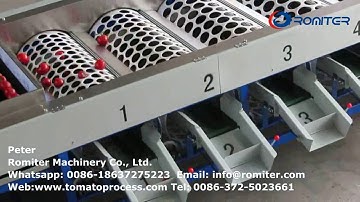 Full Automatic Tomato Size Grading Sorting Machine for Sale