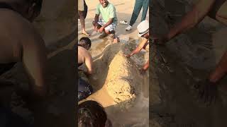 Sandman Goa beach #sandman #goavibes #goacalling #goareels #trending #travel #goa #beach #chennai