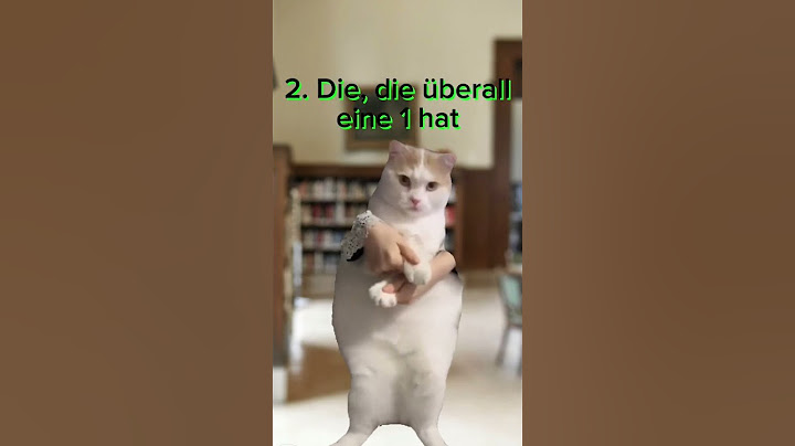 Welche Art seid ihr?#zeugnis #comedy #fypシ゚viral #funny #cat #capcut