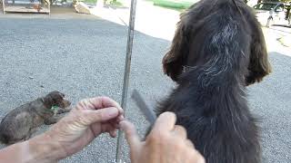 Famous Grooming tools Wealth