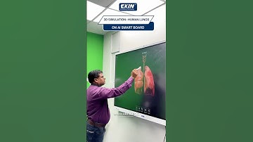 Ekin Al Interactive Flat Panel | Best Al SmartBoard | Ai Digital Board for Teaching🔥#shorts #viral