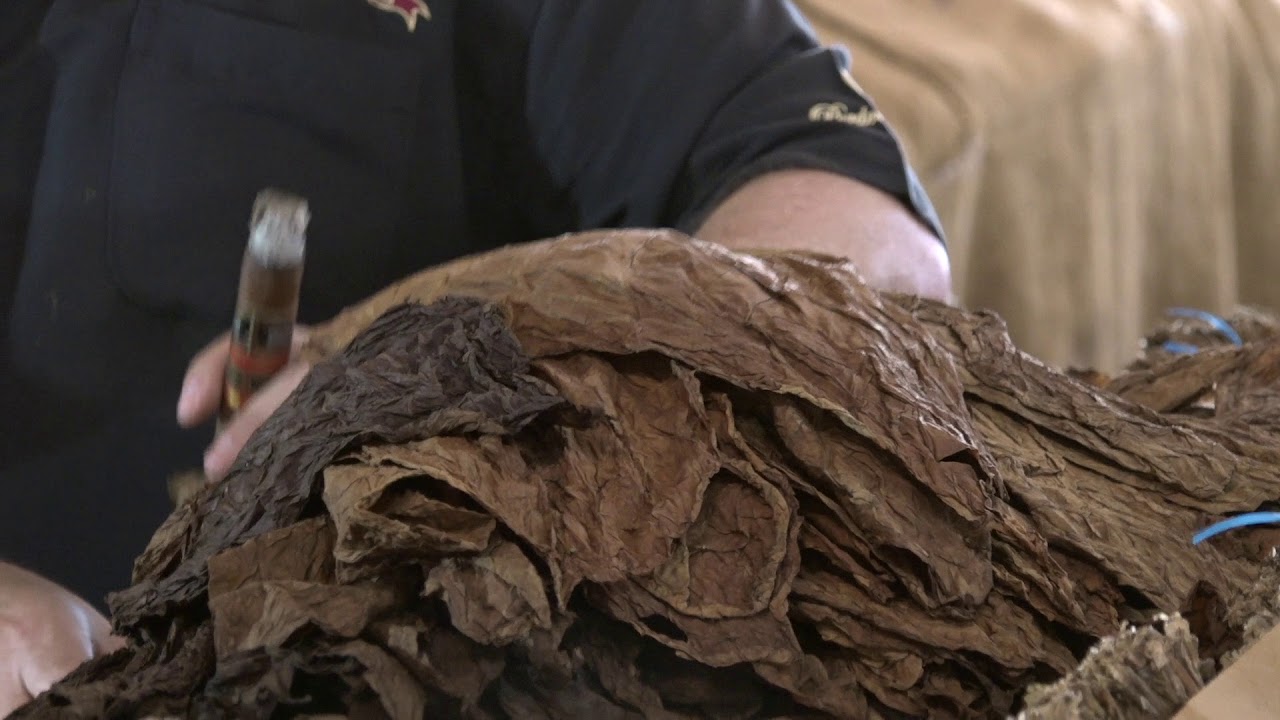 Nick Perdomo Compares Sun Grown and Maduro Wrapper Tobaccos in the Fermentation Department