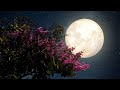 Deep Sleep Music, Insomnia, Sleep Meditation, Calm Music, Sleep Therapy, Study, Relax, Sleeping ★58