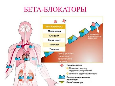 2 №12.5. БЕТА - И АЛЬФА, БЕТА-АДРЕНОБЛОКАТОРЫ