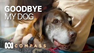 Honouring and treasuring the final days with our beloved dogs | Compass | ABC Australia