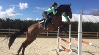Alexa Hagenson-Doull and Manga Bay - 3 Tbird March Gateway