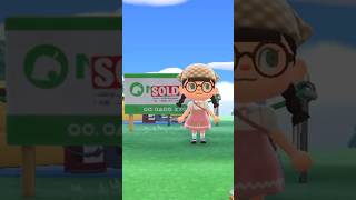 Villager Hunting For Shep  animalcrossing shorts villagerhunt