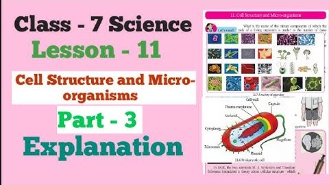 Class 7 | science | Lesson 11 | Cell Structure and Micro-organisms, | part 3 | Mh Board.