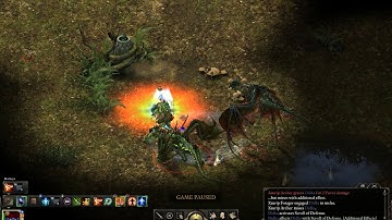 Pillars of Eternity - Llengrath Fight, Monk, the Ultimate