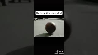 Man Mistakes Bowling Ball For Football