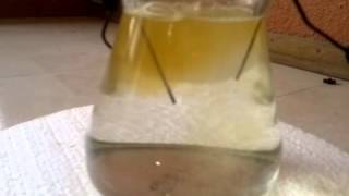 Electrolysis in brine.avi
