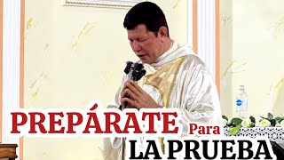 DIOS ME HA PUESTO A PRUEBA Como Lo SUPERA  El Padre Luis Toro  /5724