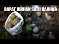 Cari Buah Durian di tengah hutan malam-malam dapat 1 karung, Bukik Tabuh, nagari Baringin Indaruang