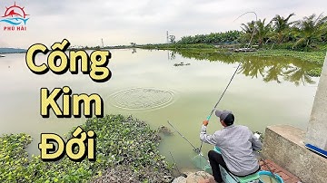 Câu cá tự nhiên | Câu cá chép tại cống Kim Đới, làm mini Game