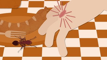 Mission Biosecurity: the cost of invasive pests