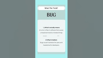 A bug