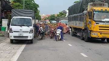 Vải thiểu Lục Ngạn