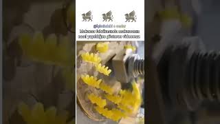 Makarnaların Fabrikadaki Üretimleri Bu Şekilde. Şfet