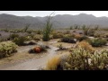 Exploring Desert Rain / Flash Flood (making of)