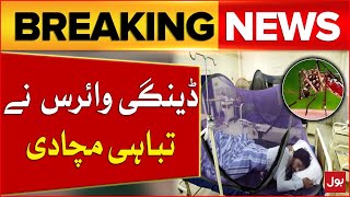 Dengue Virus In Peshawar | Dengue Cases in Pakistan | Breaking News