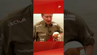 Joey Kelly mit Hund auf einsamer Insel | stern TV