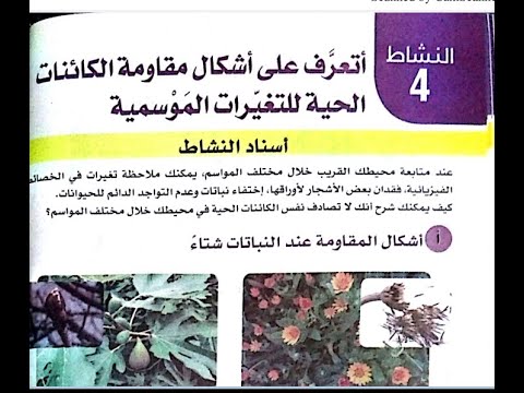الأجابة على تعليمات البحث ص30 و31 من كتاب 2متوسط