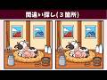 【間違い探し】脳トレを気軽に!記憶力・集中力を高める脳トレ動画!イラスト編【クイズ】