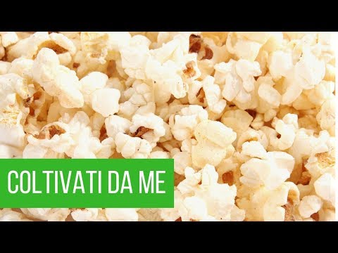 Video: Quali Sono I Benefici E I Danni Dei Popcorn
