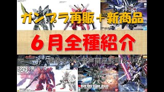 ６月ガンプラ再販全種・新商品をご紹介 #ガンプラ再販 #ガンプラ #ガンダム #ガンプラ新商品