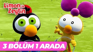 3 Bölüm 1 Arada 49 Limon Ile Zeytin - Uzun Bölüm