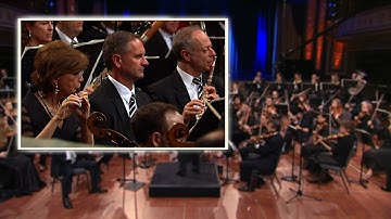 Stravinsky Firebird Suite (Flutes)